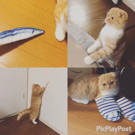 初日リハの記事動画