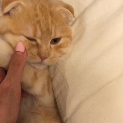 気を付けてくださいね。の記事動画