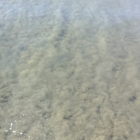 東松島のきれいな海の画像
