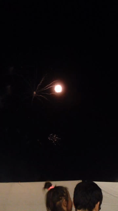 花火の記事動画