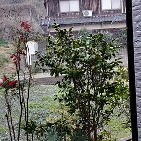 21日木曜日の画像