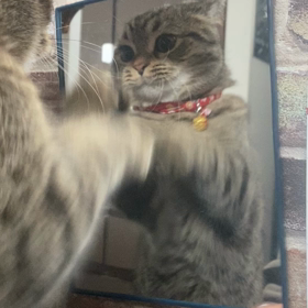 鏡磨きの画像