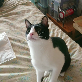 最近撮った動画の画像