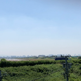 猪名川土手の画像