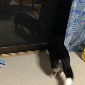 私も話したい…(^^;)の画像