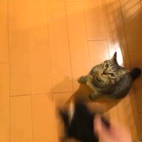 2025/09/03の画像