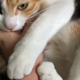 そ、そんなに美味いんか？の画像