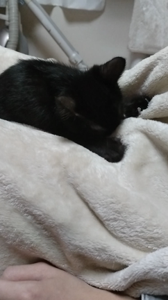 ふみふみナギちゃん♥️の記事動画