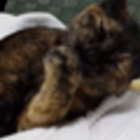 手を(´・ω・`)の画像