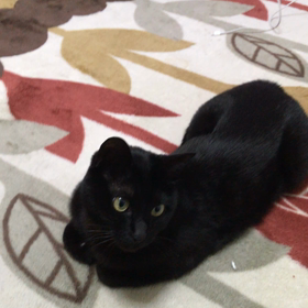 うみ釣りの画像