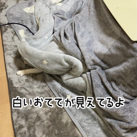 かくれんぼの画像