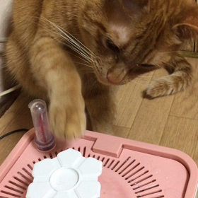 お手手で飲むん？の画像