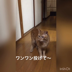 レオが好きなワンワンの画像