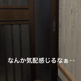 ヤモリかな？の画像