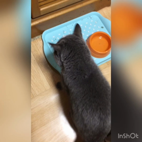 休みの朝の画像