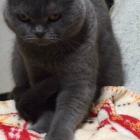 14年前の画像