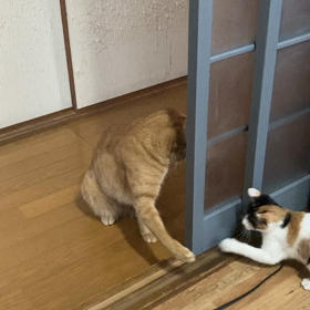 ワクチン2回目の画像