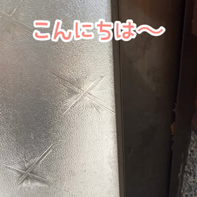 可愛いお客さんの画像