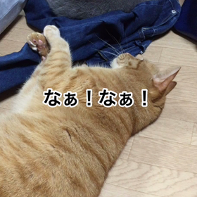 ずるいぞ！の画像