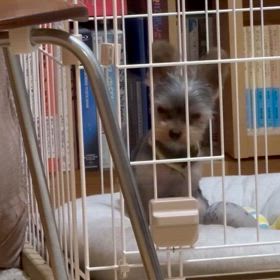 かんかん照りと雷雨の画像