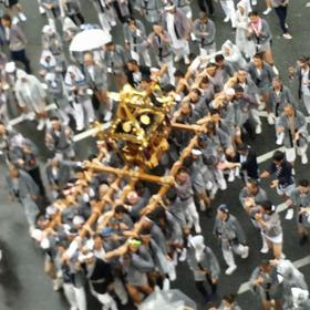 神輿♪の画像