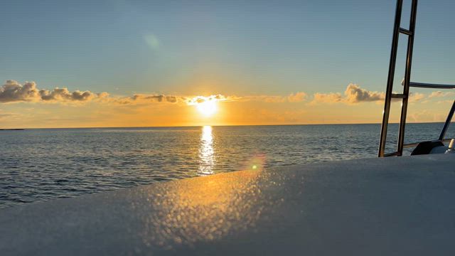 やっぱり海が魂の故郷でした！の記事動画