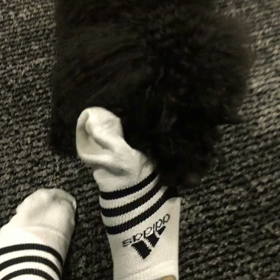 今日も元気ヾ(*´∀｀*)ﾉｷｬｯｷｬの画像