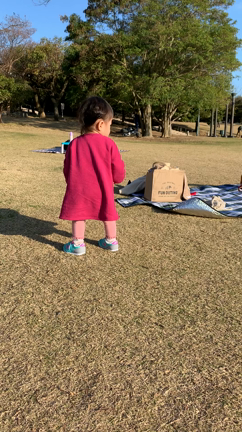 娘が歩けるようになりました1歳4ヶ月✳︎の記事動画