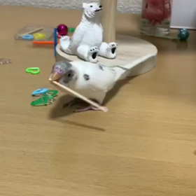 つまようじ、いる？？の画像