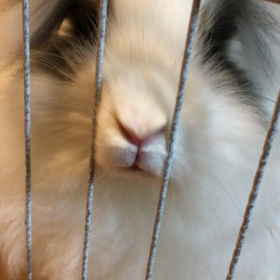 あっぷ◡̈の画像