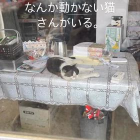2026/04/15の画像