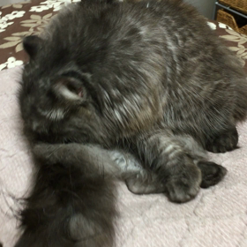 シンクロ②の画像