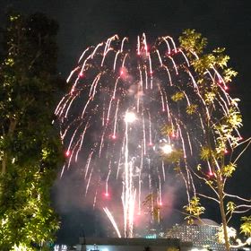 たまやの画像