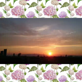 今日の夕陽の画像