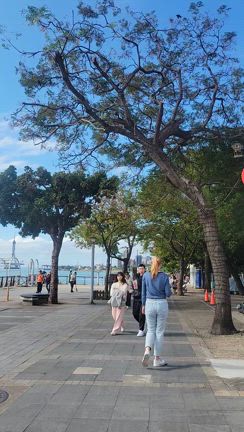 初一人旅！台湾・台北旅行記⑥の記事動画