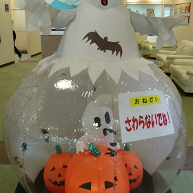 この中に、おみくじでも入れてみたいの画像
