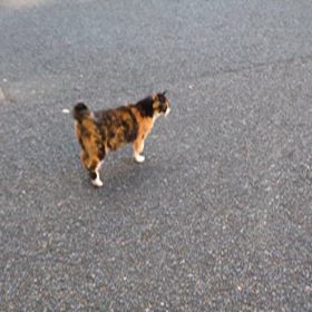 実家のお墓参りで、ほのぼのの画像