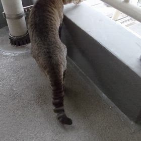 何かに、ビビった？の画像
