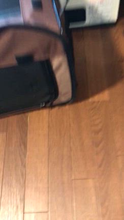 腫瘍→大手術。。。の記事動画