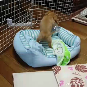 既にギブアップする先生（笑）の画像