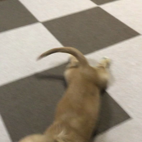 疲れない遊び・・・の画像