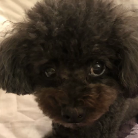 2018/09/08の画像
