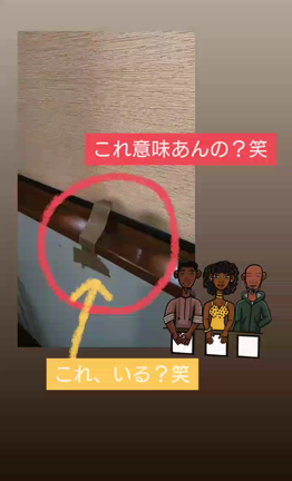 『個性が違うと台風の対策も違う❗』舛井 恵の記事動画