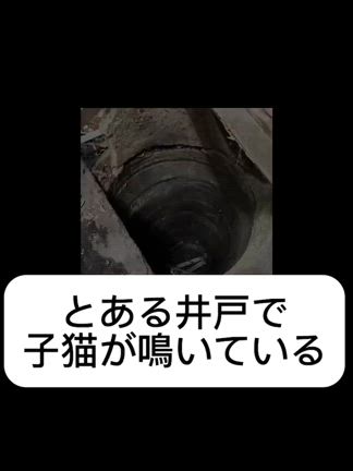 物件の井戸に落ちた猫のレスキューの記事動画