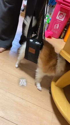 不安な気持ちと、穏やかさ。の記事動画