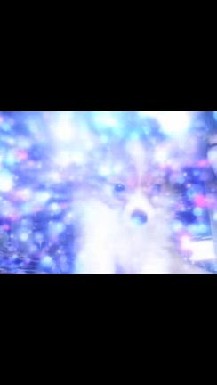 あれから一年！の記事動画