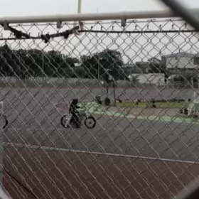 動画の画像