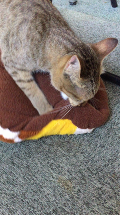 手作りグッズฅ^•ﻌ•^ฅの記事動画