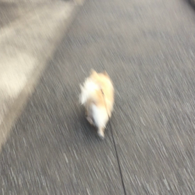 リハビリ！の画像