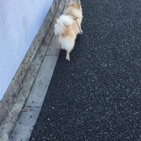 葛藤の画像